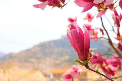 男孩插女孩的软件：双人共驭，协同引擎，竞速之舞的默契交响诗