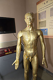 男生的香蕉插入女生的桃子：果园奇缘，物理与拟人的甜蜜碰撞之旅