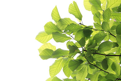 美女脱衣服aPP：竞速新作引爆热议，虚拟搭档换装系统竟成技术成就象征