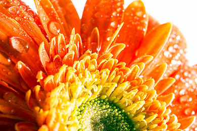 按摩xxx：地平线5全新体验，在墨西哥极速之旅中感受心灵疗愈-1