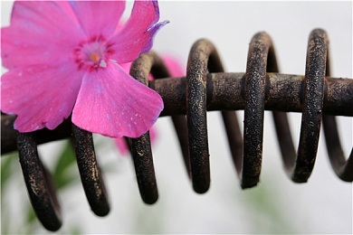 體育生學長打飛機Gay雞巴：《极速狂飙》今日上线，深度解析竞速内核与人物羁绊的完美融合-2