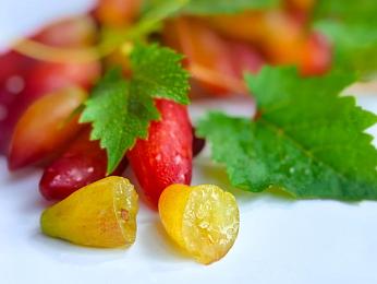 直男体育生打  GAY2024：极限竞速新纪元，硬核驾驶与个性定制完美融合-2