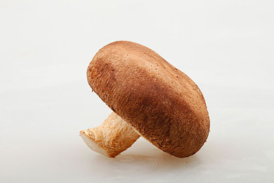 明星造梦厂：极速造星计划今日公测，打造属于你的赛车传奇与超级明星-1