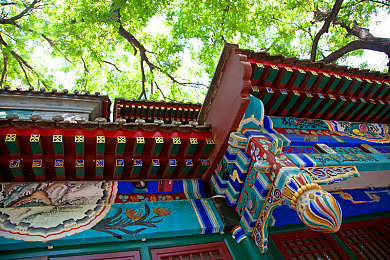 爱情岛论坛  成人AV：夜幕轰鸣，街头王座的非法引擎交响诗