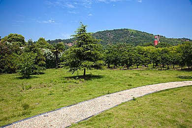 伦理AV：驶向未来的道德十字路口，虚拟方向盘上的灵魂抉择-2