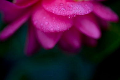 色多多a：霓虹竞速新作引爆热潮，色彩操控颠覆传统驾驶体验-1