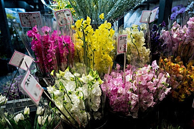 美女不穿衣服的：赛博朋克2077角色自定义系统深度解析，打造你的独一无二夜之城化身