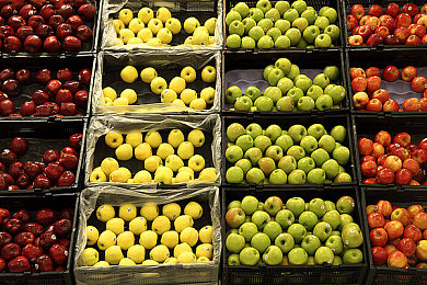 男生和女生一起叉叉叉的APP：双人驾驶新游极速搭档上线，默契协作挑战竞速新高度-1