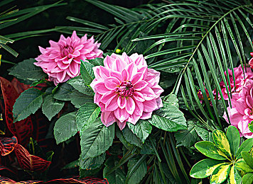 男生女生相搓搓搓：双人同心驾驭极速，默契搭档共闯赛道新纪元-1