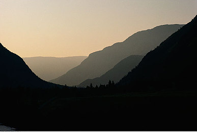 黄色APP每天三次：地平线5拍卖行稀有车刷新攻略，每日三次机会别错过