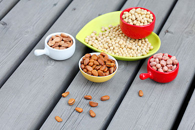 一二区综合:开放世界竞速新作登场,双地形动态融合挑战车手全能极限-2