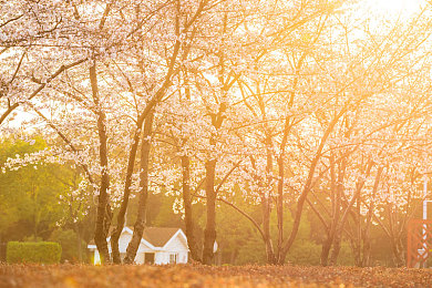 男人操女人的应用：征服高拟真赛道，以策略与操控挑战顶尖AI车手