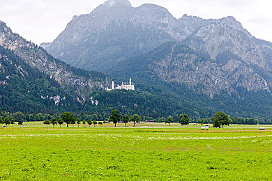 黄色APP下载3.0.3免费：《极限狂飙》3.0.3版本上线，动态天气系统重塑街头竞速真实体验-2