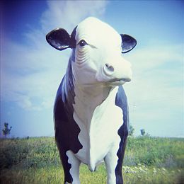 99re6精品视频：极速光影，赛道传奇，第九代渲染增强之旅