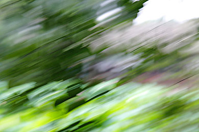 黄色软件下载每天无数次oPPO：极速都市改装攻略，OPPO设备流畅竞速秘籍全解析