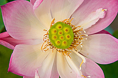 男的插女的软件：赛道耦合今日上线，独创插接驱动机制颠覆传统竞速体验