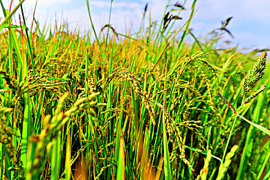 抖音9.1免费版：极速光影，碎片赛道上的十五秒狂想曲-1