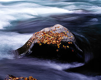 男人插进桃子:硬核赛车手挑战梦幻赛道,甜蜜陷阱中的精准驾驶艺术-2