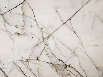 男男调教私奴bdsm：赛道王朝，精密协作与极速掌控的艺术-1