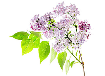 91新事爆料:霓虹群岛竞速,动态生态与模块化改装的驾驶新纪元-2