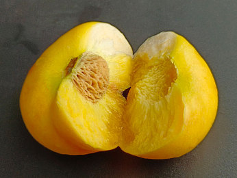 打扑克不盖被子又叫又叫：极速狂飙，智谋交锋，王牌车手的策略竞速盛宴-2