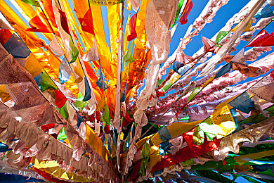 男同里0的心理：赛道双心，默契共驭的隐形协奏