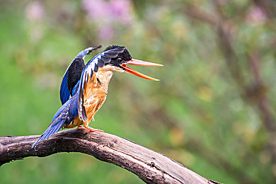 男女搞机软件：硬核汽车组装模拟，从零件到整车的创造之旅