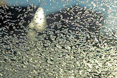 三人弄娇妻高潮3p：《极速狂飙》团队战术解密，三车精密协作引爆赛道终极快感