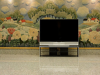 裸体美女软件：原始框架，极速艺术，从零打造梦想座驾的硬核改装之旅