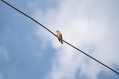 黄色a钦件:黄金法则颠覆赛道,顶级改装件助力人车合一-2