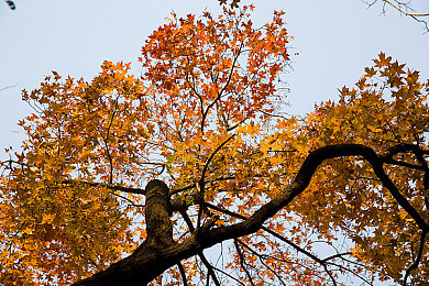 黄色软件污污污：霓虹革命席卷街头，极致改装系统引爆赛车游戏新潮流