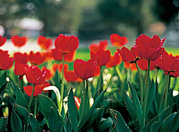 男生曰女生软件：极速狂飙与温馨日常交织的双轨人生