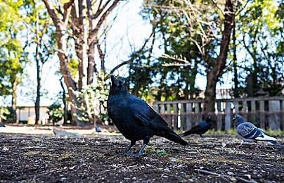 国产成人福利av：未来都市竞速新体验，情感交互载具开启驾驶新篇章-1