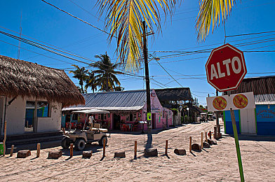蝌蚪一个释放的网站：在广阔地平线中，找回纯粹驾驶乐趣的终极指南-1