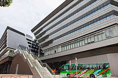 黄免费b站：极限竞速地平线5全新赛季开启，免费获取金色传奇车辆终极攻略