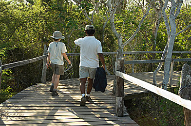 红桃视频成人网站免费进：扑克王国极速狂飙，免费畅玩创新赛车盛宴