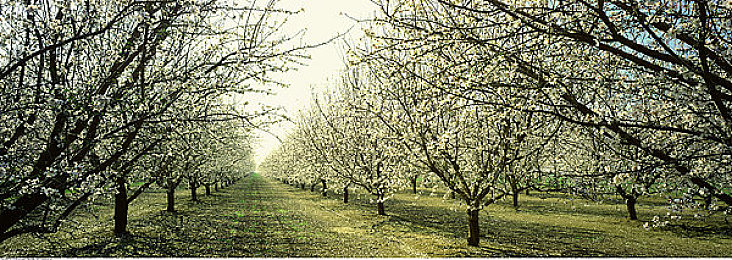 好色先生tv污：霓虹光影，街头竞速传奇之旅