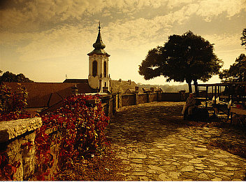 十大涉黄软件:香车与速度的博弈,如何在虚拟赛道保持纯粹驾驶乐趣-1