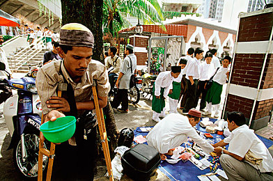 男人机机捅女人：未来都市竞速新作上线，钢铁猛兽与流光玫瑰上演终极对决-2