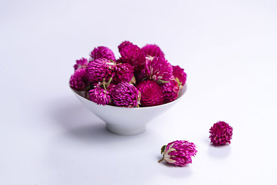 在床上打扑克 牌：策略与引擎的终极牌局，智慧竞速的虚拟狂飙