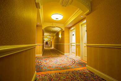 蜜桃视频app下载直播：地平线引擎轰鸣，打造你的虚拟竞速演播盛宴-1