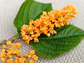 黄色破解软件：极速狂飙霓虹线，解锁隐藏超跑的全流程攻略与深度解析