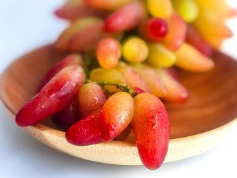 姬小满乳液狂飙奖励自己一发：极速改装与能量爆发，未来都市竞速攻略全解析