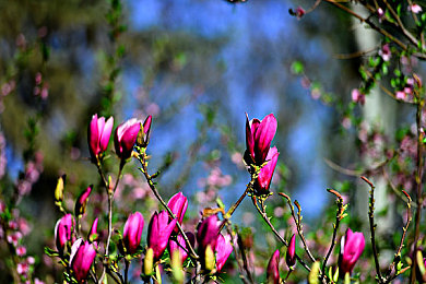 www晚上：霓虹都市极速传说，赛博朋克夜战新纪元-1