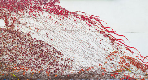 国产AV剧情麻豆：互动叙事新作霓虹情缘热评，多线程情感抉择解锁十二种都市结局-1