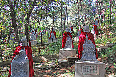 拔萝卜不盖子：田园敞篷竞速，风驰电掣间拾取丰收能量