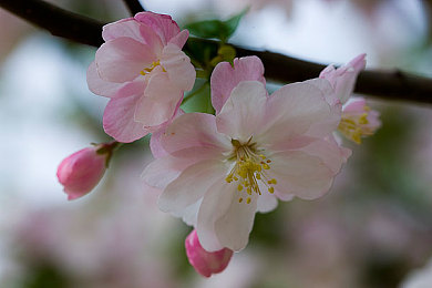 性别自由凸轮管西元点无尽：自定义化身时空穿梭驾驶之旅