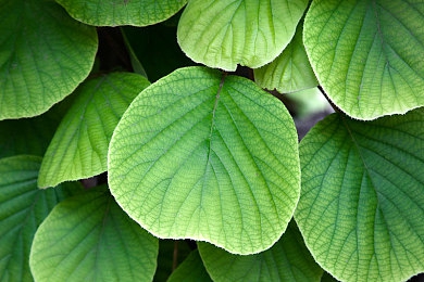 中国十大污软件:极速穿梭,数据霓虹中的净化使命-2