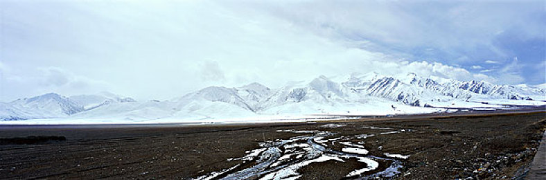 黄色软件下载3.3.1：解锁极限竞速隐藏涂装，安全获取稀有车辆正版攻略-2