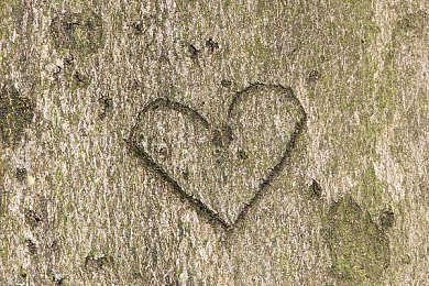 亚洲欧洲日本一区：驰骋全球赛道，体验地域驾驶哲学的交融之旅